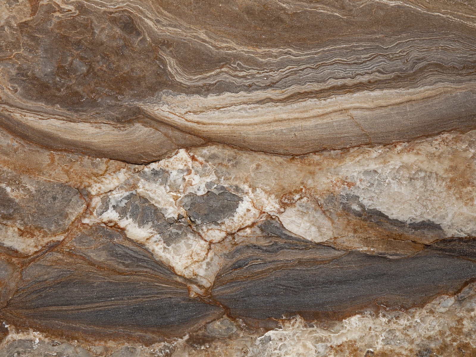 Fantasy Brown quartzite — Warm brown, cream, gray ribbons