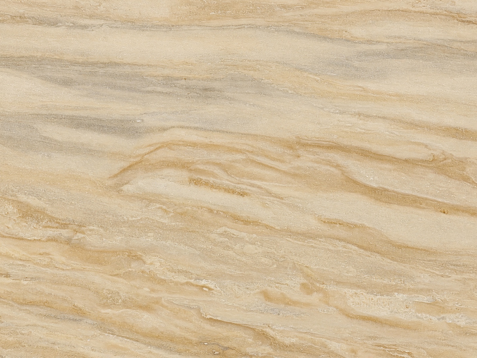 Taj Mahal quartzite — Warm cream, leathered or polished