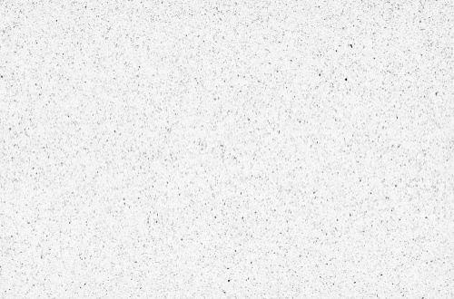 A textured surface with a white background speckled with small black dots, resembling static noise or a grainy pattern.
